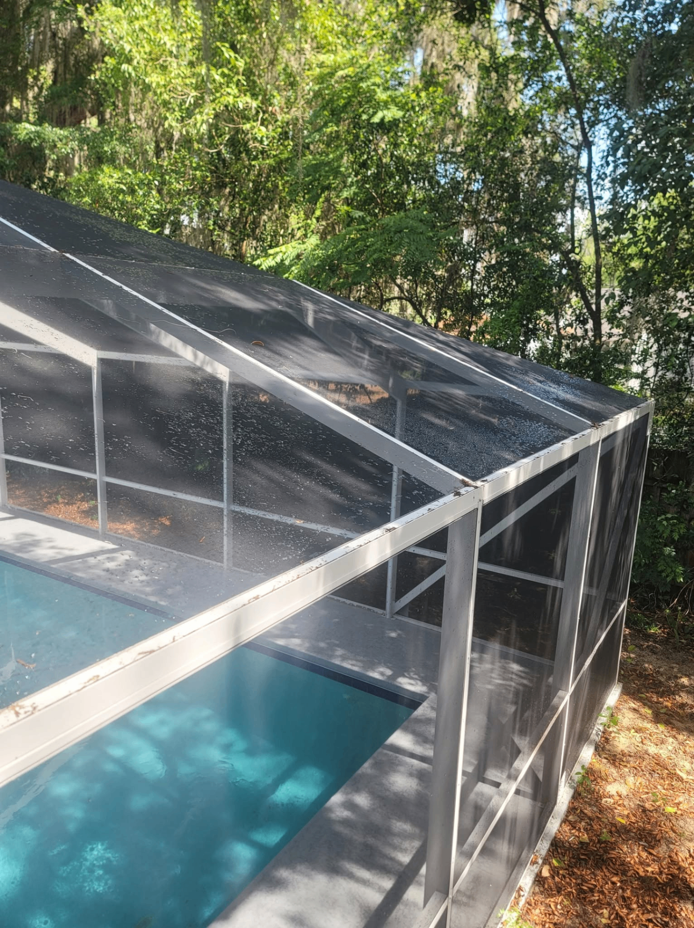 After — Pool cage roof — oak debris & moss removal