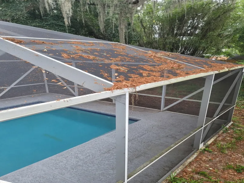 Pool cage roof covered in oak debris and moss