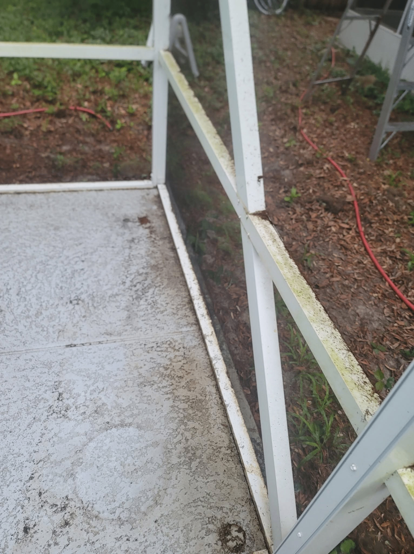 Before — Screen frame — algae & mildew soft wash